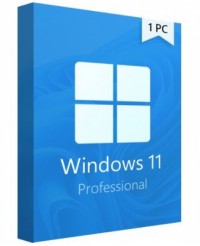 Microsoft Windows 11 PRO 32/64 bit Lic Transferible (SI)